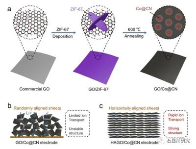 西安交通大学丁书江课题组 金属-有机骨架衍生钴@碳氮修饰的氧化石墨烯阵列作为锂离子电池独立阳极